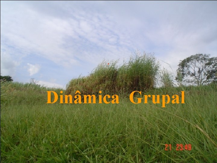 . Dinâmica Grupal 