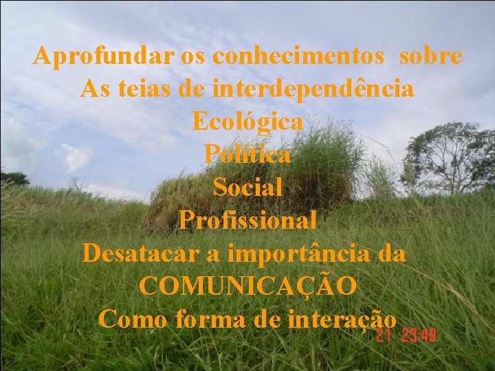 Aprofundar os conhecimentos sobre As teias de interdependência Ecológica Política Social Profissional Desatacar a