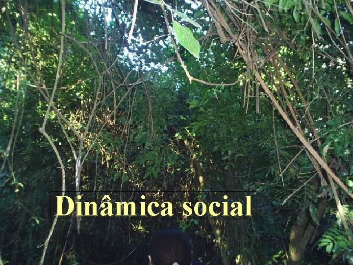 Dinâmica social 