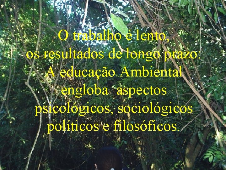 O trabalho é lento, os resultados de longo prazo: A educação Ambiental engloba aspectos