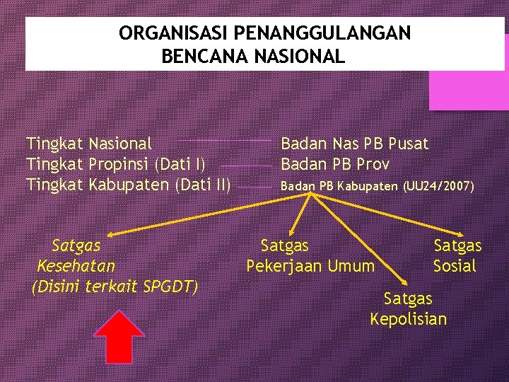 ORGANISASI PENANGGULANGAN BENCANA NASIONALAL Tingkat Nasional Tingkat Propinsi (Dati I) Tingkat Kabupaten (Dati II)