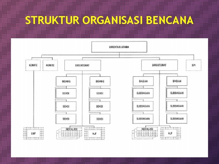 STRUKTUR ORGANISASI BENCANA 