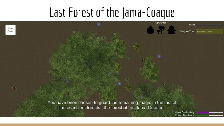 Last Forest of the Jama-Coaque 
