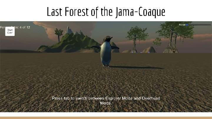 Last Forest of the Jama-Coaque 