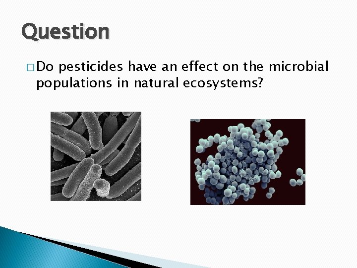 Question � Do pesticides have an effect on the microbial populations in natural ecosystems?