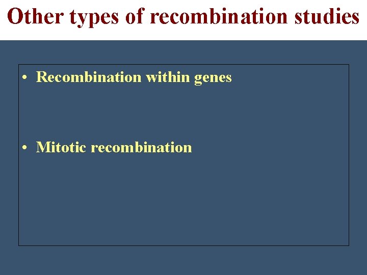 Other types of recombination studies • Recombination within genes • Mitotic recombination 