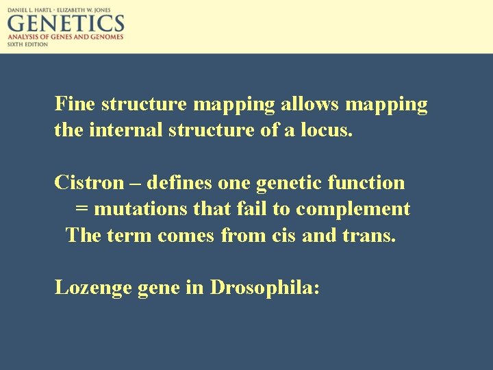 Fine structure mapping allows mapping the internal structure of a locus. Cistron – defines