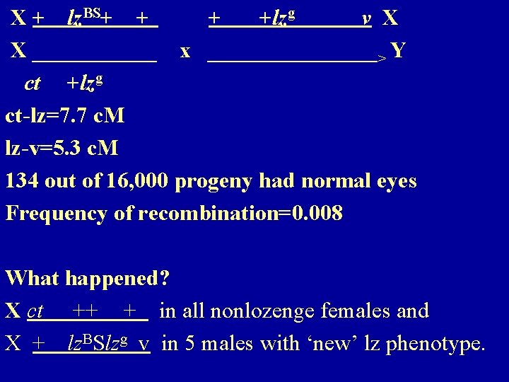 X + lz. BS+ + + +lzg v X X ______ x ________> Y