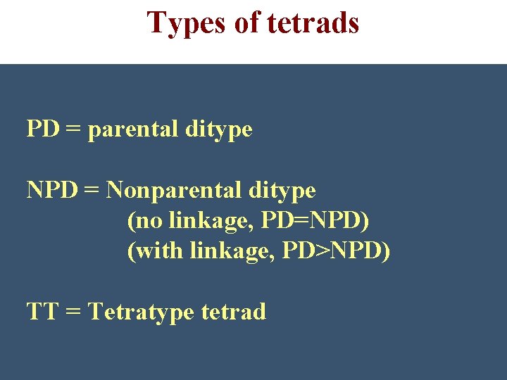 Types of tetrads PD = parental ditype NPD = Nonparental ditype (no linkage, PD=NPD)