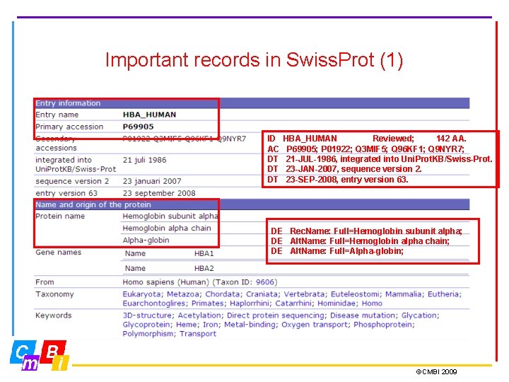 Important records in Swiss. Prot (1) ID AC DT DT DT HBA_HUMAN Reviewed; 142