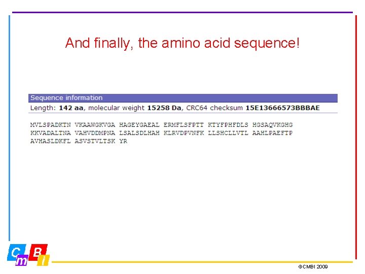 And finally, the amino acid sequence! ©CMBI 2009 And finally, the amino acid sequence! ©CMBI 2009