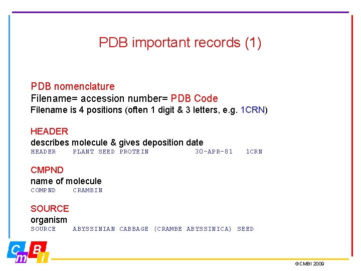 PDB important records (1) PDB nomenclature Filename= accession number= PDB Code Filename is 4