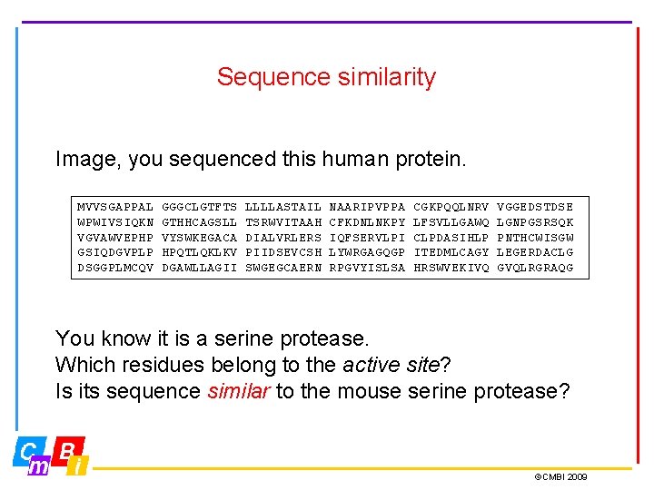 Sequence similarity Image, you sequenced this human protein. MVVSGAPPAL GGGCLGTFTS LLLLASTAIL NAARIPVPPA CGKPQQLNRV VGGEDSTDSE