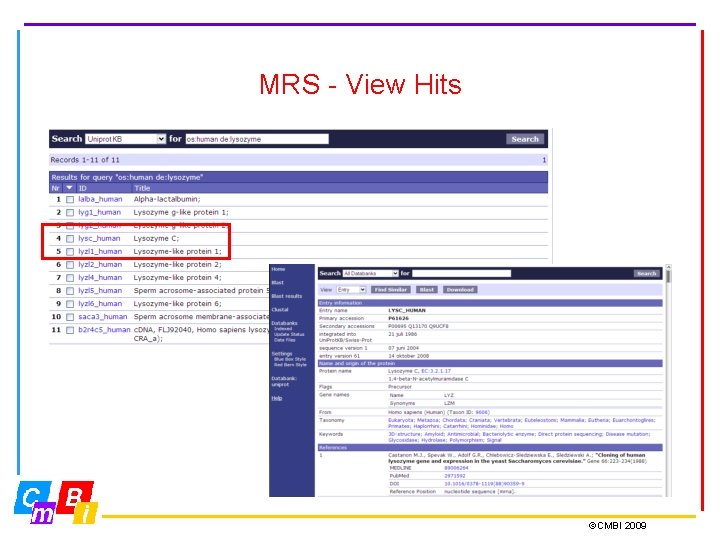 MRS - View Hits ©CMBI 2009 MRS - View Hits ©CMBI 2009