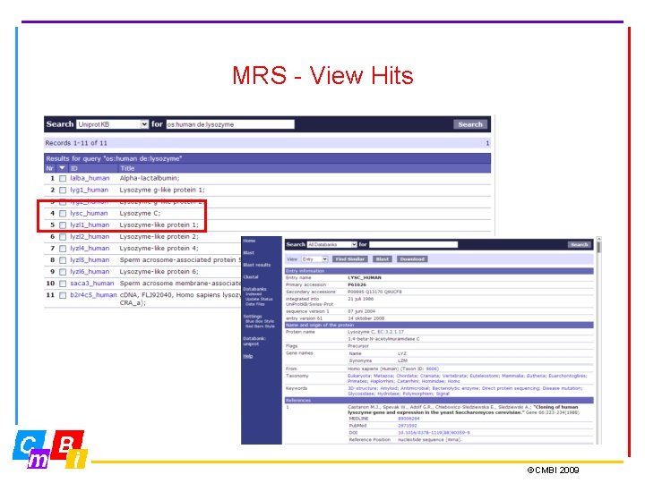 MRS - View Hits ©CMBI 2009 