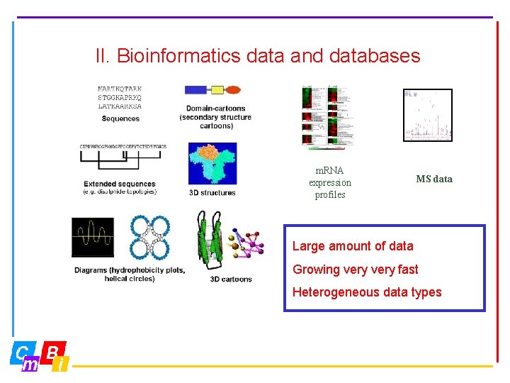 II. Bioinformatics data and databases m. RNA expression profiles MS data Large amount of II. Bioinformatics data and databases m. RNA expression profiles MS data Large amount of