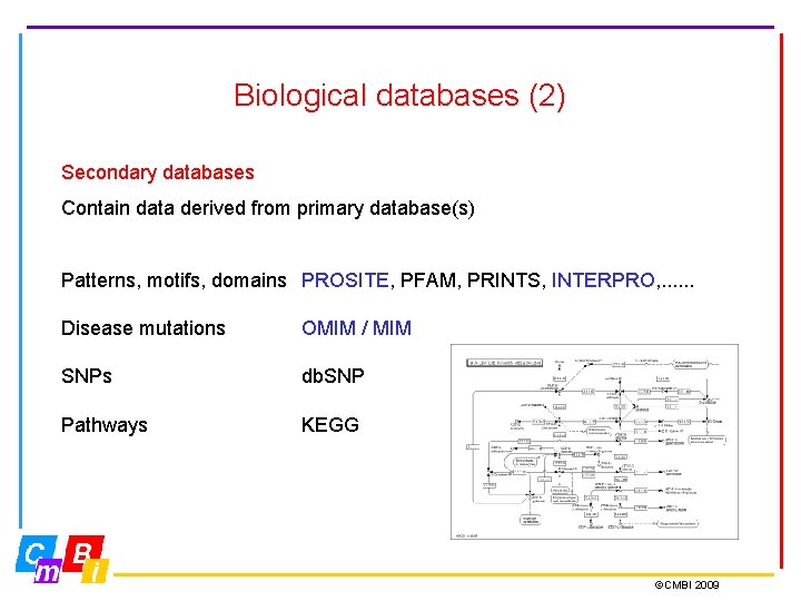 Biological databases (2) Secondary databases Contain data derived from primary database(s) Patterns, motifs, domains Biological databases (2) Secondary databases Contain data derived from primary database(s) Patterns, motifs, domains