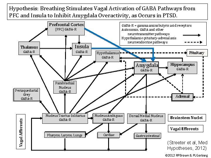 Hypothesis: Breathing Stimulates Vagal Activation of GABA Pathways from PFC and Insula to Inhibit