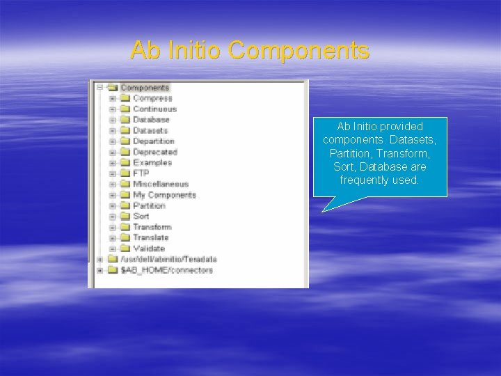 Ab Initio Components Ab Initio provided components. Datasets, Partition, Transform, Sort, Database are frequently