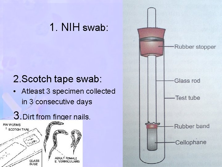 1. NIH swab: 2. Scotch tape swab: • Atleast 3 specimen collected in 3