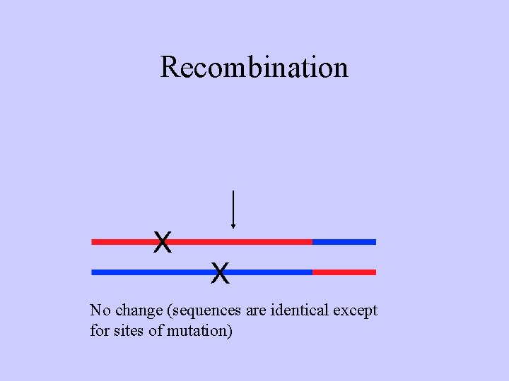 Recombination No change (sequences are identical except for sites of mutation) 