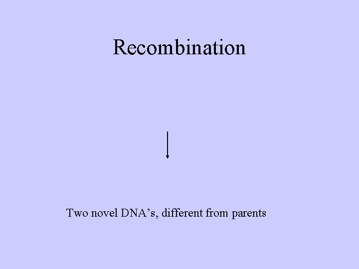 Recombination Two novel DNA’s, different from parents 