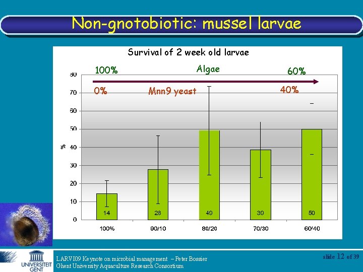 Non-gnotobiotic: mussel larvae Survival of 2 week old larvae 100% 0% Algae Mnn 9