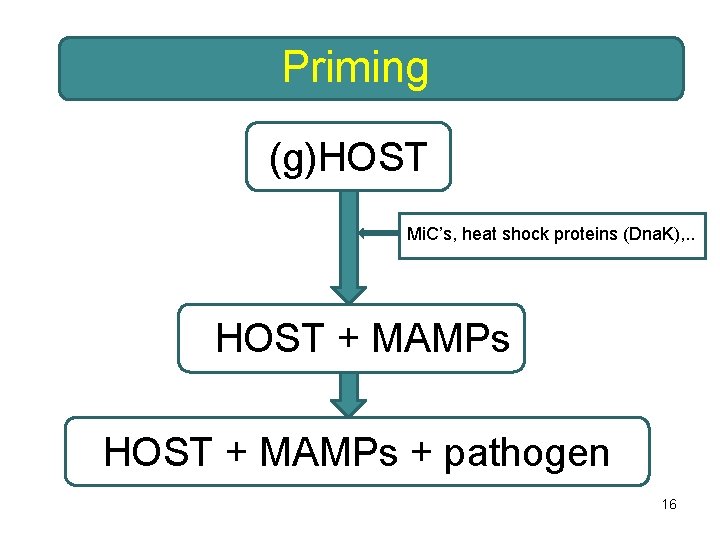 Priming (g)HOST Mi. C’s, heat shock proteins (Dna. K), . . HOST + MAMPs