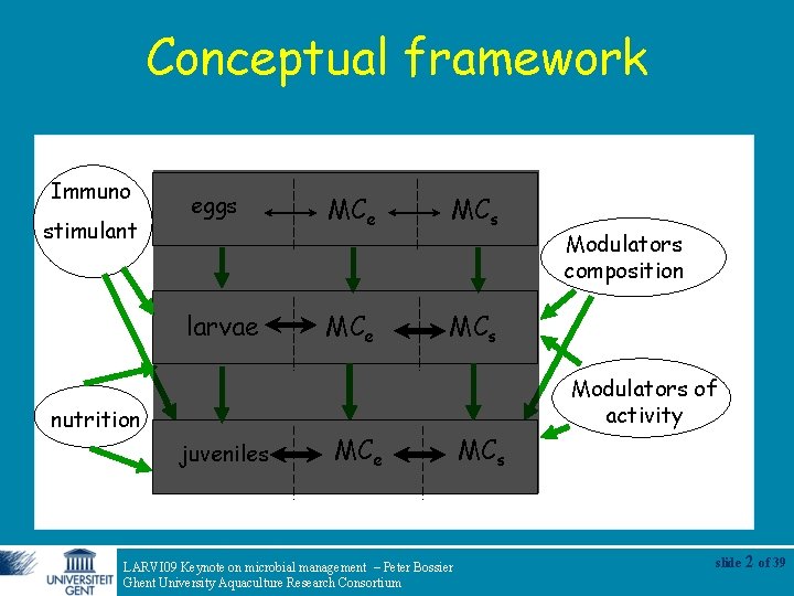 Conceptual framework Immuno stimulant eggs larvae MCs MCe MCs Modulators composition Modulators of activity