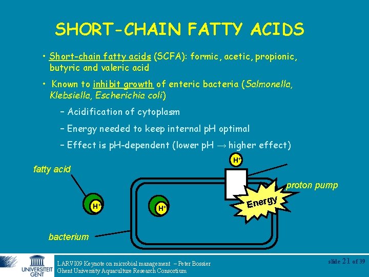 SHORT-CHAIN FATTY ACIDS • Short-chain fatty acids (SCFA): formic, acetic, propionic, butyric and valeric