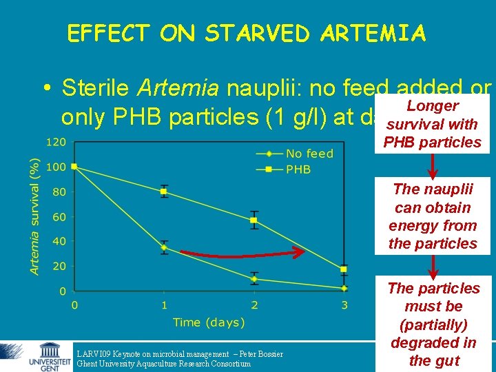 EFFECT ON STARVED ARTEMIA • Sterile Artemia nauplii: no feed added or Longer only