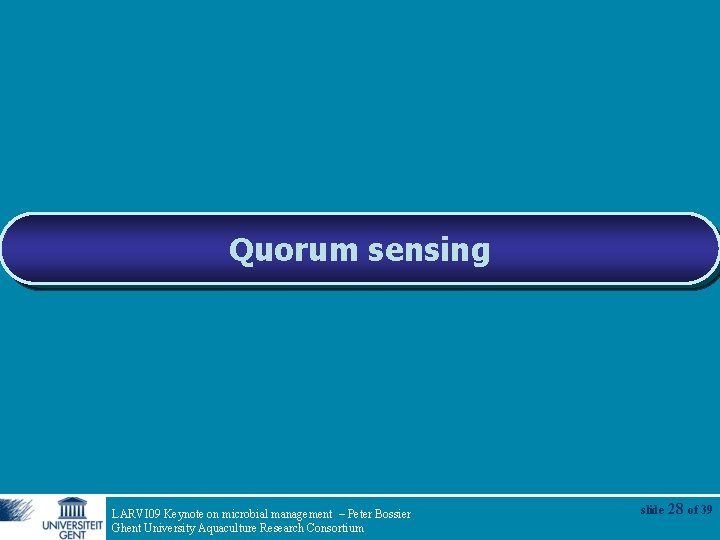 Quorum sensing LARVI 09 Keynote on microbial management – Peter Bossier Ghent University Aquaculture