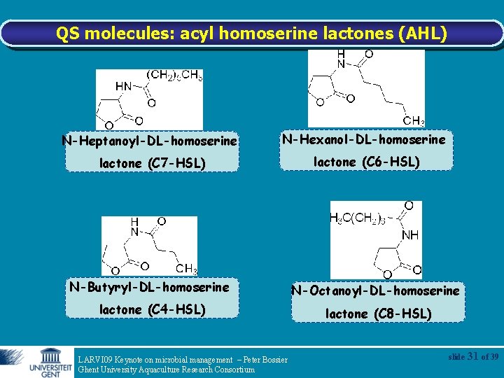 QS molecules: acyl homoserine lactones (AHL) N-Heptanoyl-DL-homoserine N-Hexanol-DL-homoserine lactone (C 7 -HSL) lactone (C