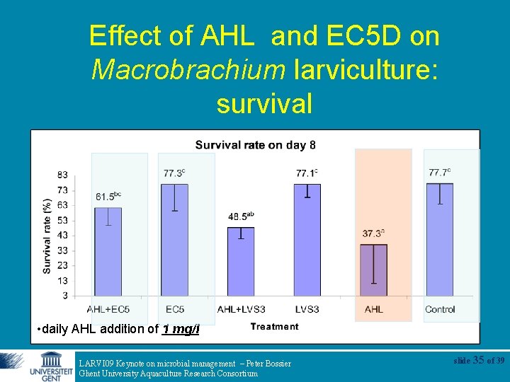 Effect of AHL and EC 5 D on Macrobrachium larviculture: survival • daily AHL