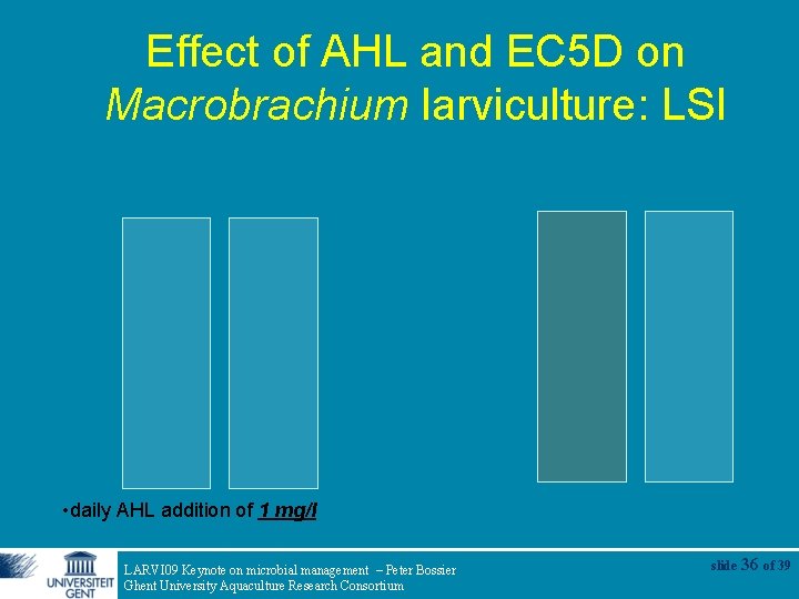 Effect of AHL and EC 5 D on Macrobrachium larviculture: LSI • daily AHL