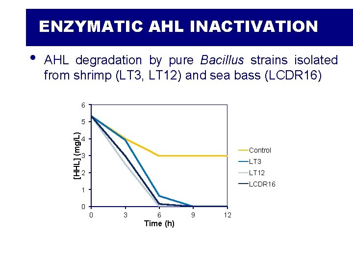 ENZYMATIC AHL INACTIVATION AHL degradation by pure Bacillus strains isolated from shrimp (LT 3,