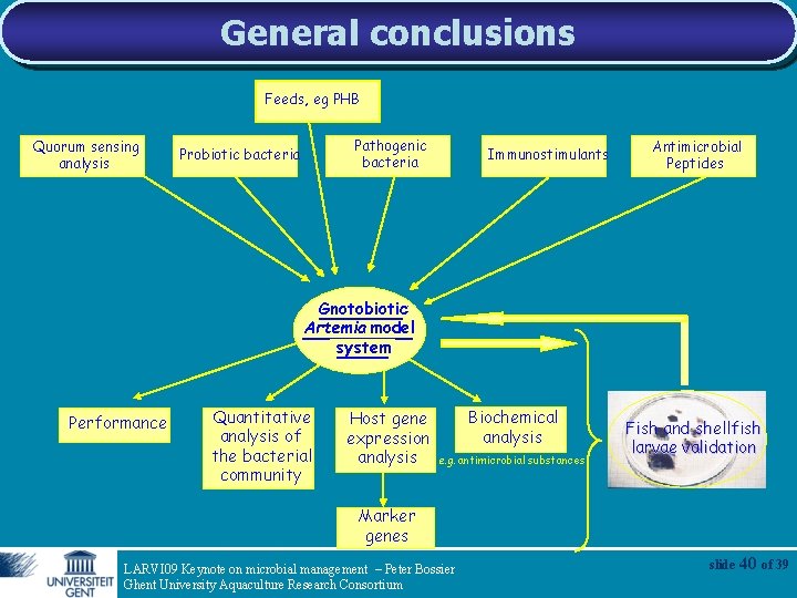 General conclusions Feeds, Feeds eg PHB Quorum sensing analysis Pathogenic bacteria Probiotic bacteria Immunostimulants