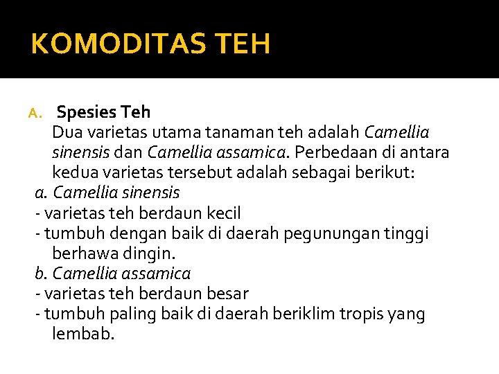 KOMODITAS TEH Spesies Teh Dua varietas utama tanaman teh adalah Camellia sinensis dan Camellia