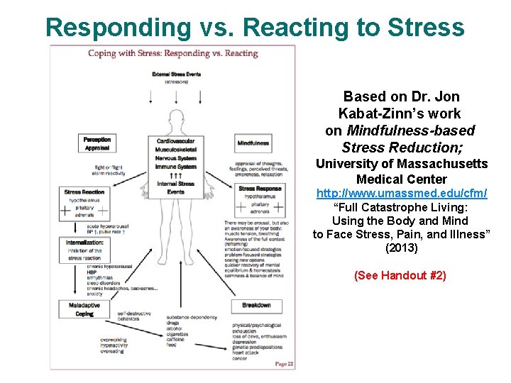 Responding vs. Reacting to Stress Based on Dr. Jon Kabat-Zinn’s work on Mindfulness-based Stress
