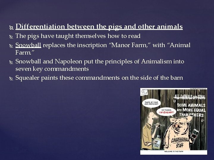  Differentiation between the pigs and other animals The pigs have taught themselves how
