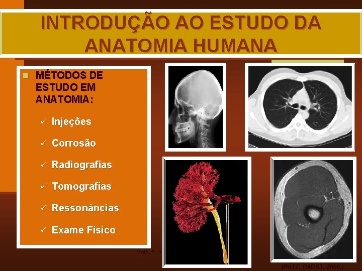 INTRODUÇÃO AO ESTUDO DA ANATOMIA HUMANA n MÉTODOS DE ESTUDO EM ANATOMIA: ü Injeções