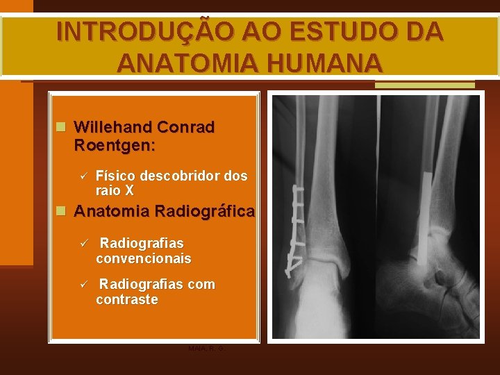 INTRODUÇÃO AO ESTUDO DA ANATOMIA HUMANA n Willehand Conrad Roentgen: ü Físico descobridor dos