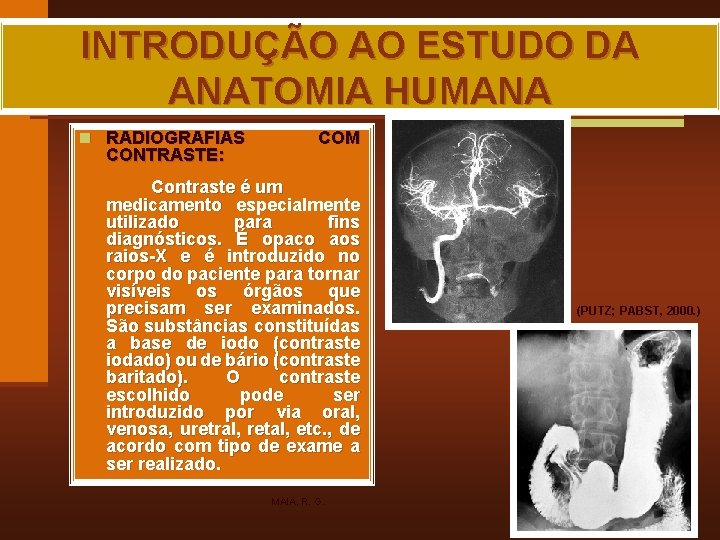 INTRODUÇÃO AO ESTUDO DA ANATOMIA HUMANA n RADIOGRAFIAS CONTRASTE: COM Contraste é um medicamento