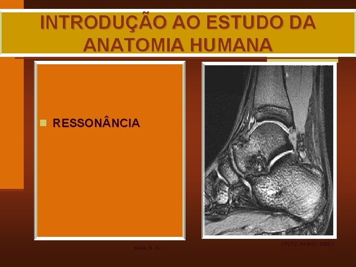 INTRODUÇÃO AO ESTUDO DA ANATOMIA HUMANA n RESSON NCIA MAIA, R. G. (PUTZ; PABST,