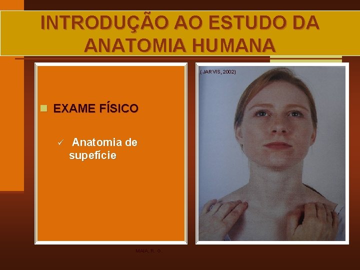 INTRODUÇÃO AO ESTUDO DA ANATOMIA HUMANA (JARVIS, 2002) n EXAME FÍSICO ü Anatomia de