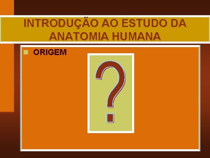 INTRODUÇÃO AO ESTUDO DA ANATOMIA HUMANA n ORIGEM MAIA, R. G. 