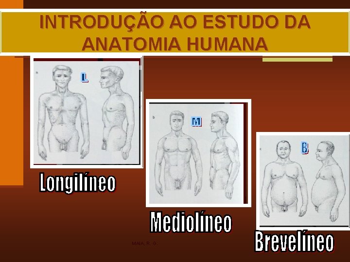 INTRODUÇÃO AO ESTUDO DA ANATOMIA HUMANA MAIA, R. G. 