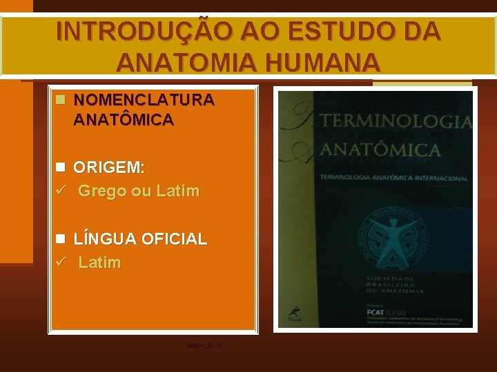 INTRODUÇÃO AO ESTUDO DA ANATOMIA HUMANA n NOMENCLATURA ANATÔMICA n ORIGEM: ü Grego ou