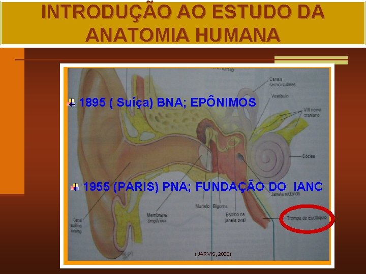 INTRODUÇÃO AO ESTUDO DA ANATOMIA HUMANA 1895 ( Suíça) BNA; EPÔNIMOS 1955 (PARIS) PNA;