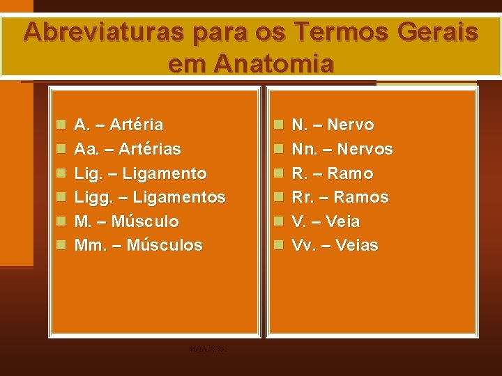 Abreviaturas para os Termos Gerais em Anatomia n A. – Artéria n N. –